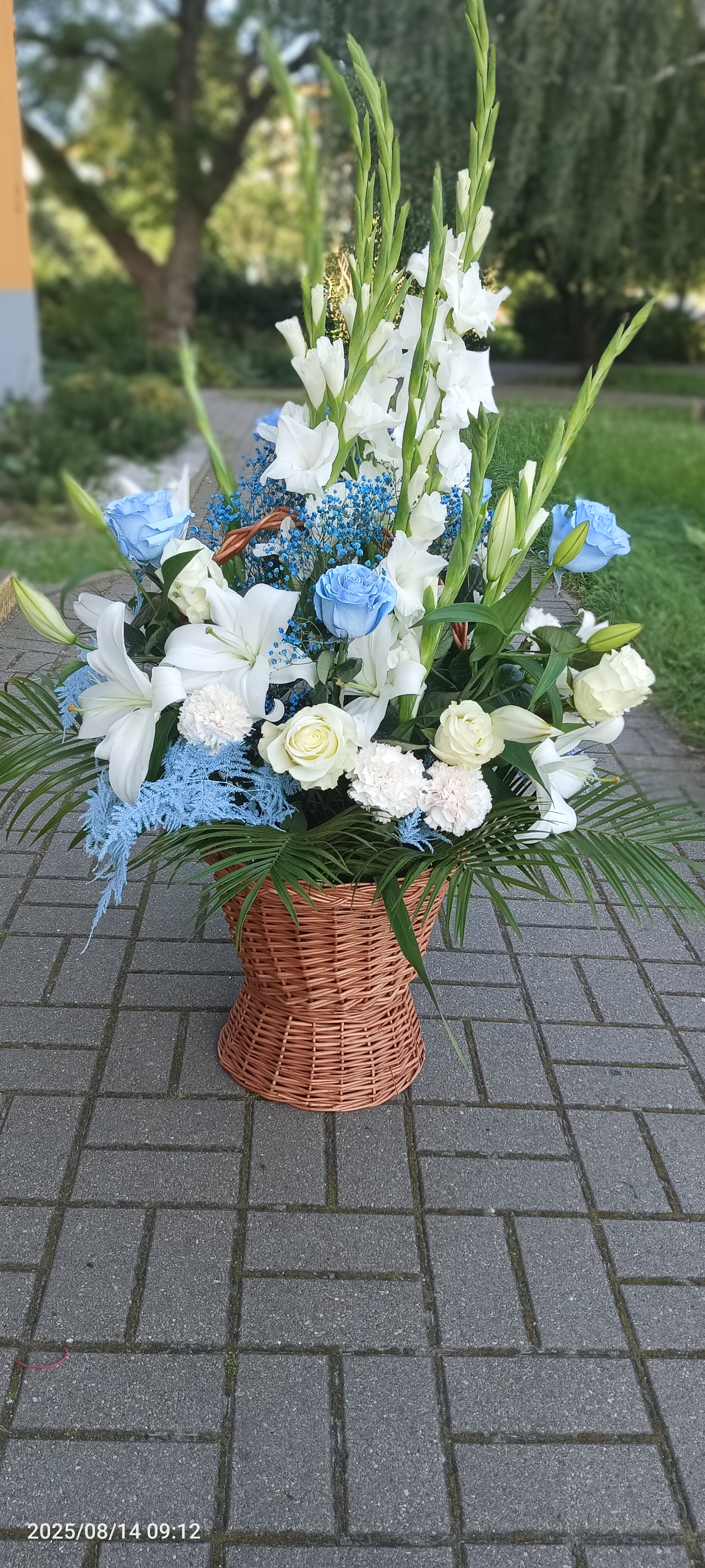 Biało niebieskie kwiaty